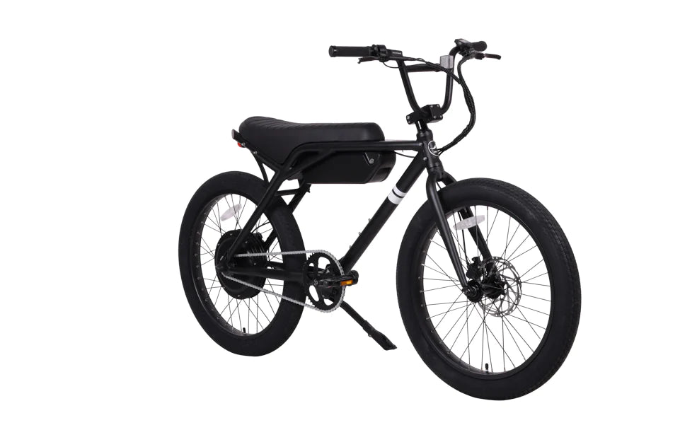 SOLE EBMX-24
