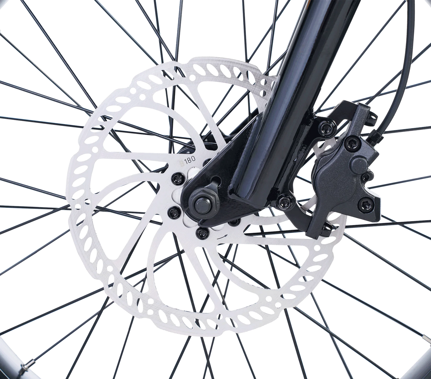 ZOOZ ULTRA RIPSTER