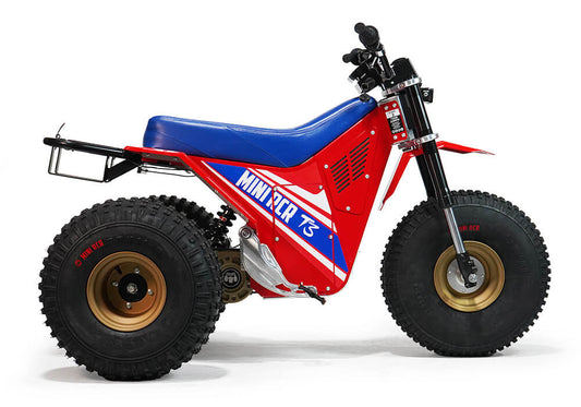 Mini RCR - Electric Three Wheel E-Bike