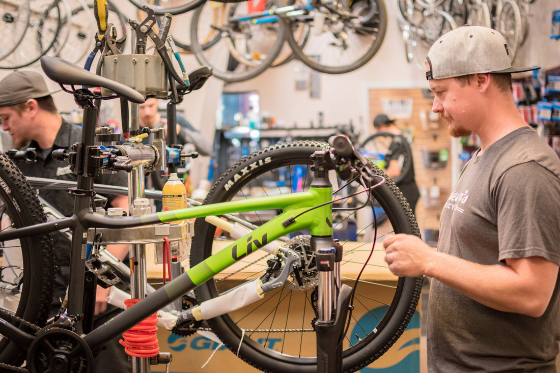 Top-Rated Bike Shop Henderson NV
