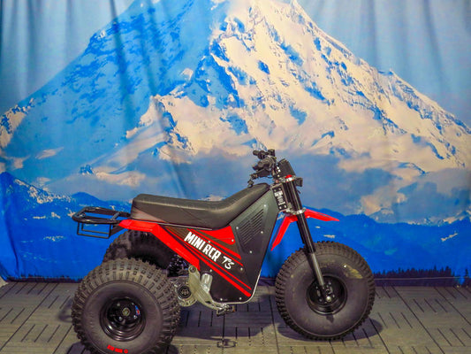 Buy Mini RCR Electric 3 Wheeler in Las Vegas | Radical eBikes