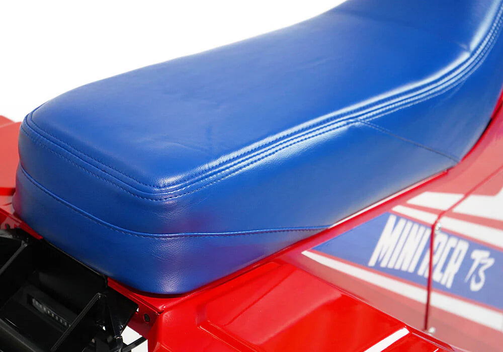 MINI RCR 250R 3-WHEELER SPECIAL EDITION