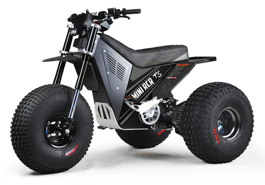 MINI RCR 3-WHEELER