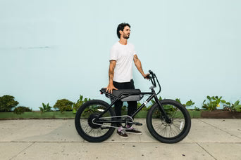 SOLE EBMX-24