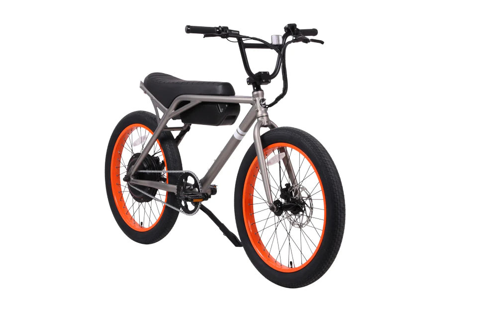 SOLE EBMX-24