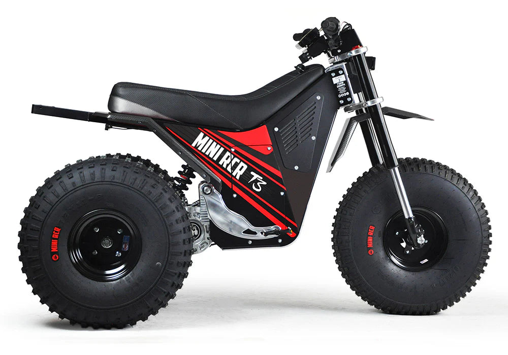 MINI RCR 3-WHEELER