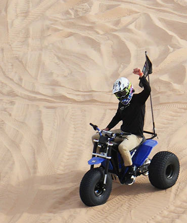 MINI RCR 3-WHEELER
