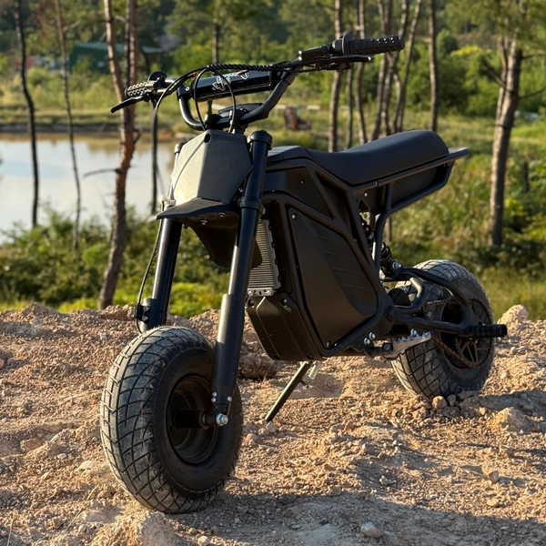 ETM RIZZLER 5KW – Radical eBikes