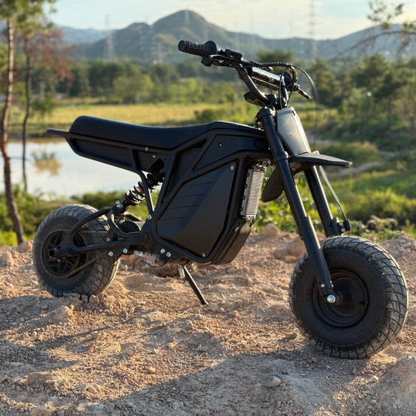 Cleanest Rizzler ETM RIZZLER 5KW – Radical eBikes